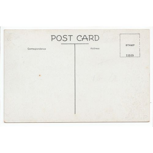 Danbury Common Essex Postcard 11515