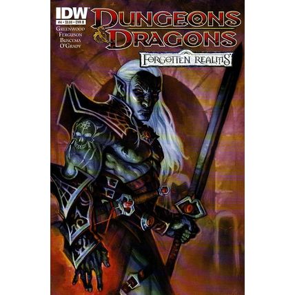 Dungeons & Dragons: Forgotten Realms (Vol 1) # 004 NM CoverB MODERN AGE COMICS