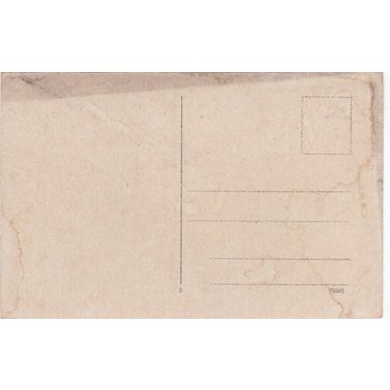 National Denkmal Niederwald Germany Postcard unused VGC