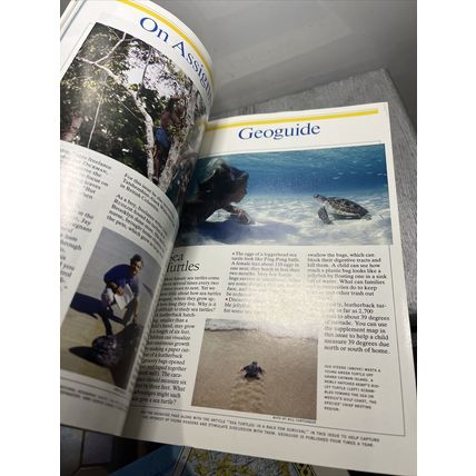 National Geographic Magazine February 1994 Sea Turtles - Vintage Collectable