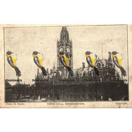Town Hall Manchester, Lancs, Banks Postcard 1910s