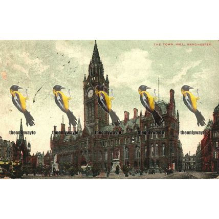 Town Hall Manchester, Lancs, Poor Postcard 1900s