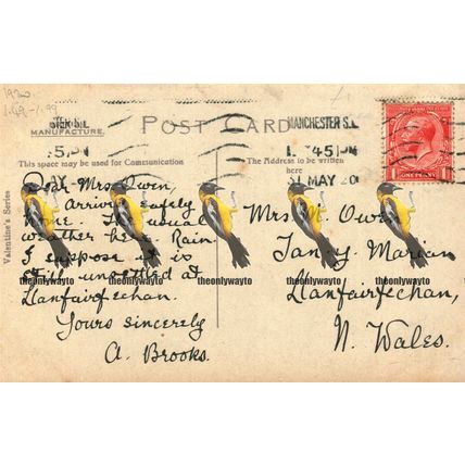 Town Hall Manchester, Lancs, Valentines Series Postcard 1920s