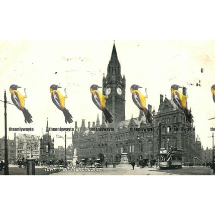 Town Hall Manchester, Lancs, Valentines Series Postcard 1920s