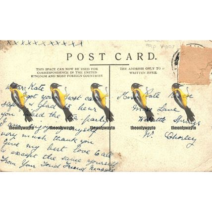 Town Hall Manchester, Lancs, Poor Postcard 1900s