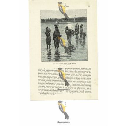 Coming Down To The Nile To Get Water, Nr Cairo, Egypt, Book Illustration, 1891