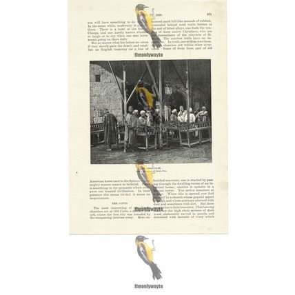 Arab Cafe, Cairo, Egypt, Book Illustration (Print), 1891