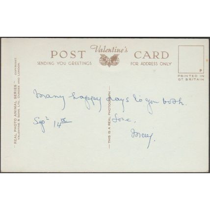 Family Pride - Horses, c.1920s - Valentine's RP Postcard