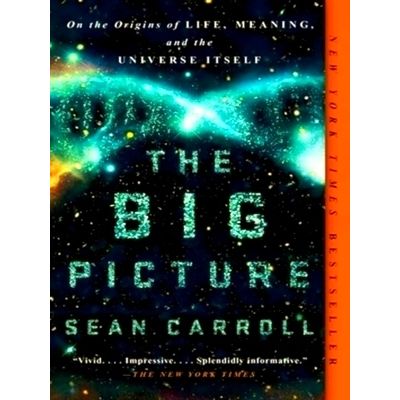 Big Picture - On the Origins of Life, Meaning, and the Universe Itself by Sean C