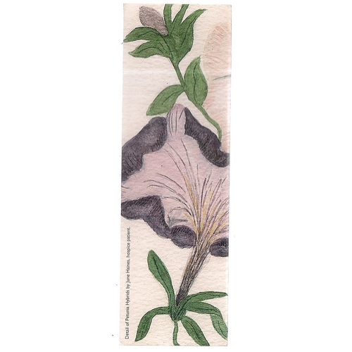 PROSPECT HOSPICE card bookmark =