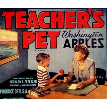Teacher's Pet Washington Apples Advertisement Postcard Dog (A1)