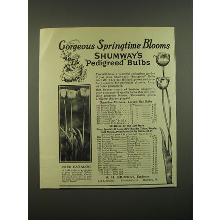 1930 Shumway's Pedigreed Bulbs Ad - Gorgeous Springtime Blooms
