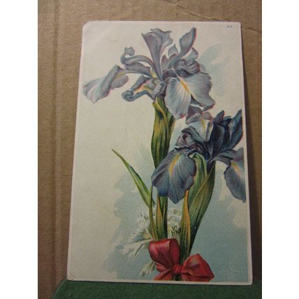 FLOWERS unused postcard Iris, flags, ?? #