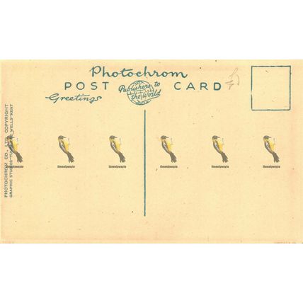 Flatford, Suffolk, V3992 Photochrom Postcard