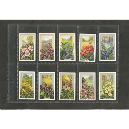 Cigarette Cards Gallaher Wild Flowers 1939 Full set of 48