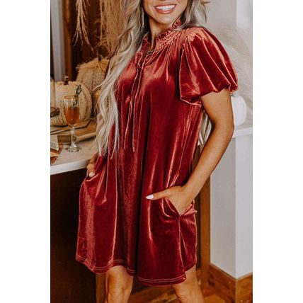 Cinnamon Velvet Smocked Neckline Puff Sleeve Shift Mini Dress