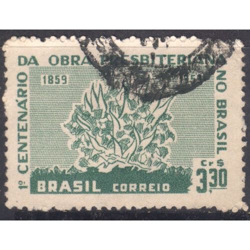 Brazil 1959 - SG1018 - 3cr.30 green - Burning Bush - used