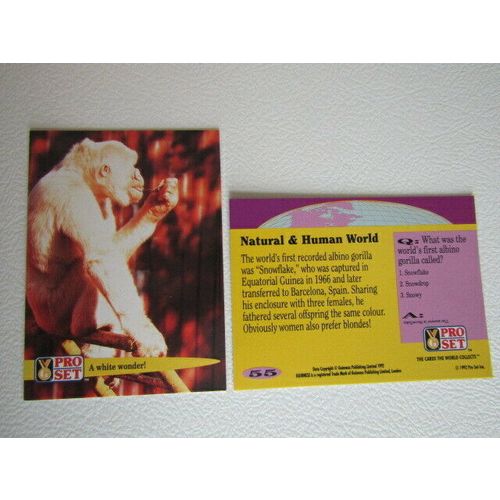 Pro Set 1992 Guinness Book of Records Trade Cards Card Variants (eb2)
