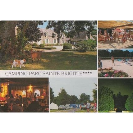 Saint Brigitte Caravan French Camping Park Chaine Brehet Postcard