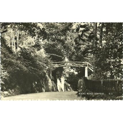 Sussex UCKFIELD Rocks Road Postcard (Norman D.5)