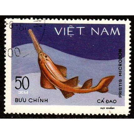 Vietnam 1980 Marine Life Fish 50xu Used Stamp
