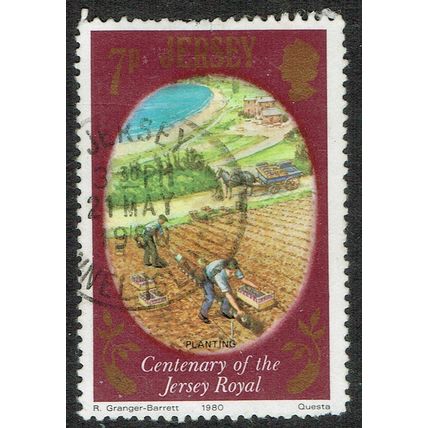 Jersey 1980 Centenary Jersey Royal Potato 7p Multicoloured SG230 FU