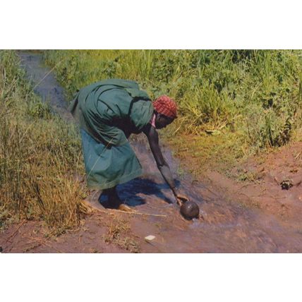 Burundi Woman Gathering Water Africa Rare Postcard