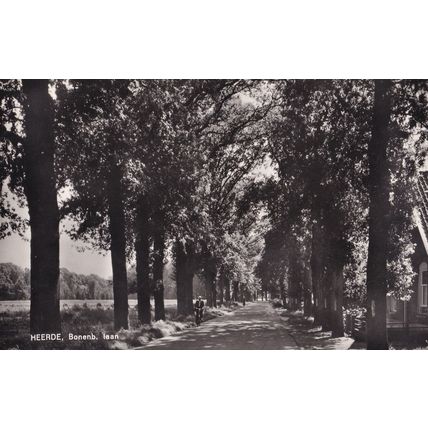 Heerde Bonenb Cyclist 1950s Real Photo Dutch Postcard