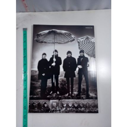 Life with beatles then, now, forever october 2021 paperback very good