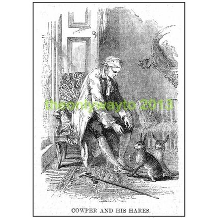 Cowper And His Hares,1862, MODERN REPRODUCTION