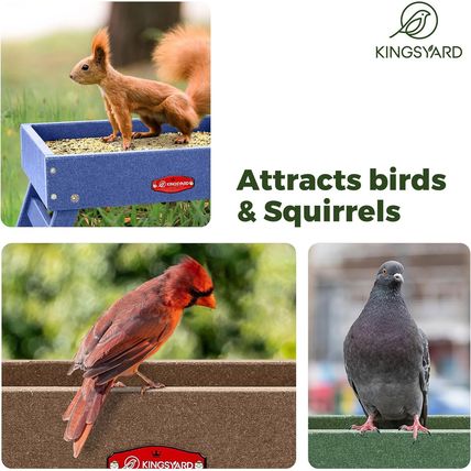 Kingsyard Ground Bird Feeder for Outdoors - Recycled Plastic Platform Feeder for