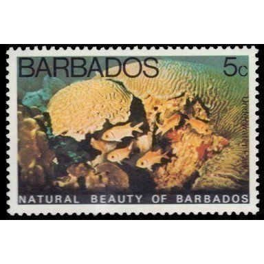 Barbados 1977 Natural Beauty 5c Unmounted Mint MNH SG 577 Sc455 stamp underwater