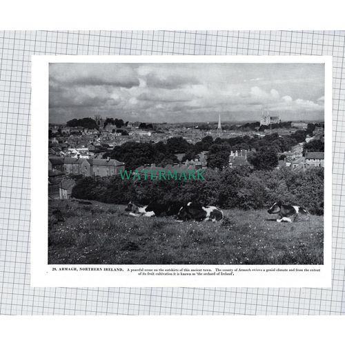 X1967) Armagh Northern Ireland - 1960s Print / Cutting