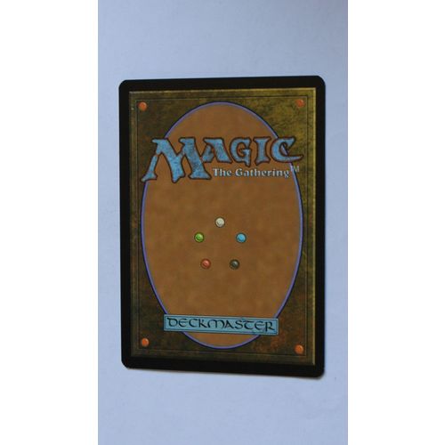 Magic the Gathering MTG CCG: Morningtide # 33 Fencer Clique (A) 2008 WotC