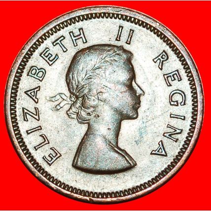 BIRDS (1953-1960): SOUTH AFRICA ★ 1/4 PENNY 1956! ★LOW START★NO RESERVE