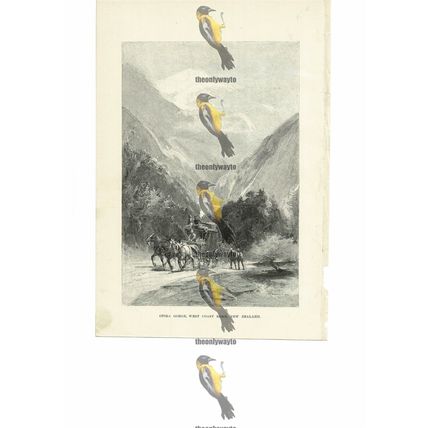 Otira Gorge, West Coast Road, New Zealand, Book Illustration (Print), 1891