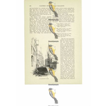St Saviour's Dock, London, England, Book Illustration (Print), 1891