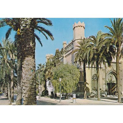 Palma de Mallorca Paseo Sagrera Spain Picture card 10.5 x 7.5cm VGC