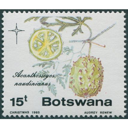 Botswana 1985 15t Acanthosicyos naudinianus SG587 MNH