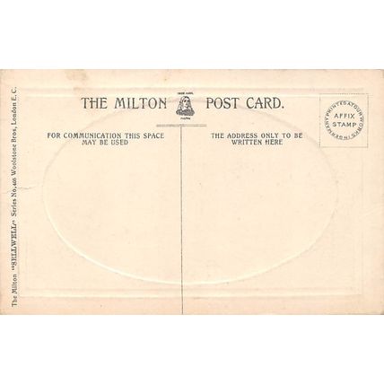 Newry Hill Street : Milton "Sellwell" series no 405 postcard