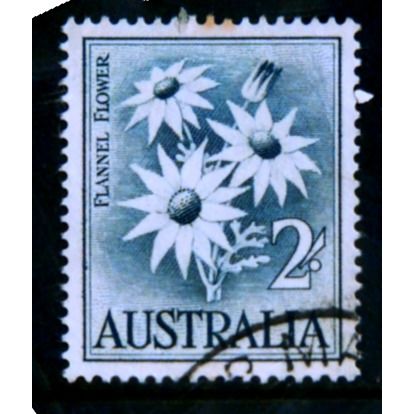 AUSTRALIA 1959 SG 323 2s FLANNEL FLOWER FINE USED # 4