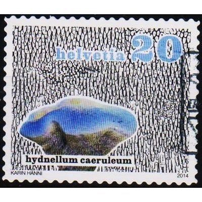 Switzerland. 2014 20c (Fungi) Used
