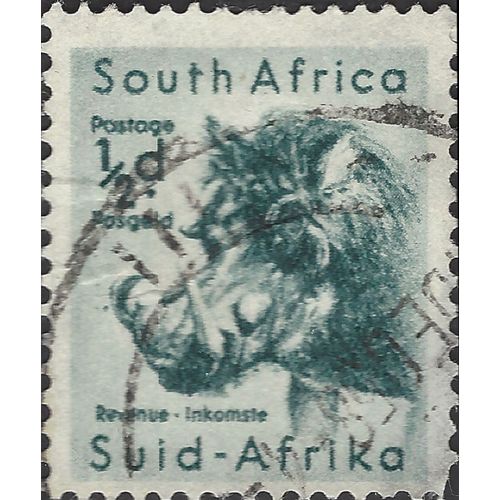 SOUTH AFRICA, MAMMAL, Warthog, blue 1954, ½d, #3