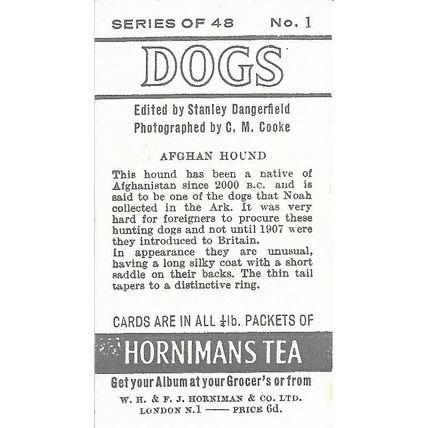 Dogs 1961 Hornimans Tea Card 1 - Afghan Hound