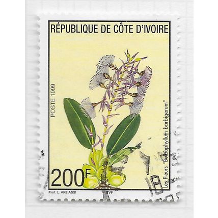 IVORY COAST 1999 FLOWERS 200F USED NATIVE ORCHID FLORA GIVES BAD ODOUR SMELLS