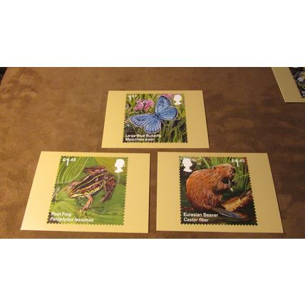 2018 GB PHQ Postcards - Reintroduced Species - Nature / Birds