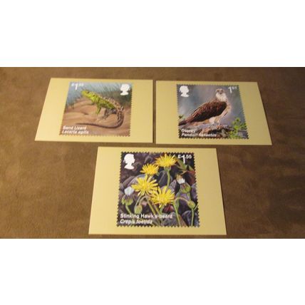 2018 GB PHQ Postcards - Reintroduced Species - Nature / Birds