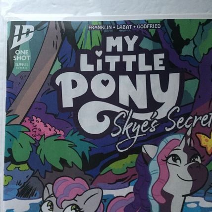 2025 IDW Comics My Little Pony Skye's Secret Cover A One Shot