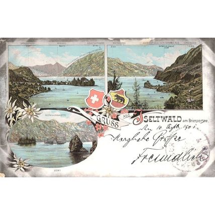 Gruss Aus Seltwald Am Brienzersee Rare Old Switzerland Postcard