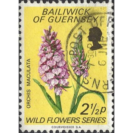 GUERNSEY, FLOWER, Orchis Maculata, yellow 1975, 2½p